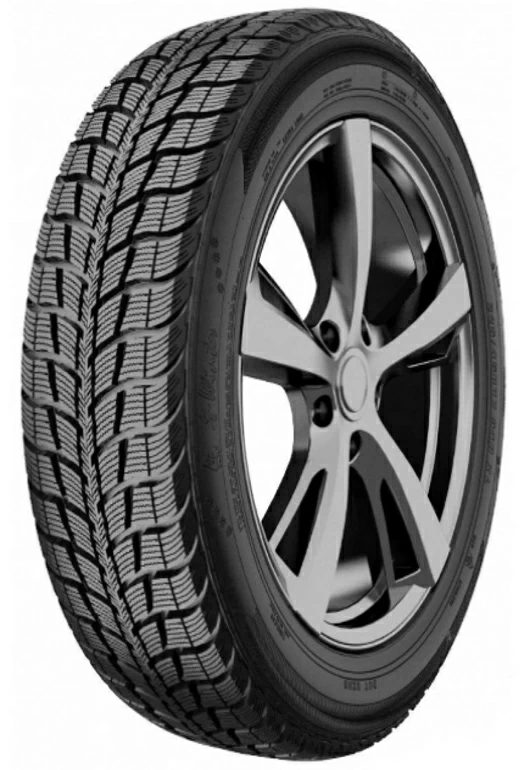 Federal HIMALAYA WS2-SL 195/55 R15